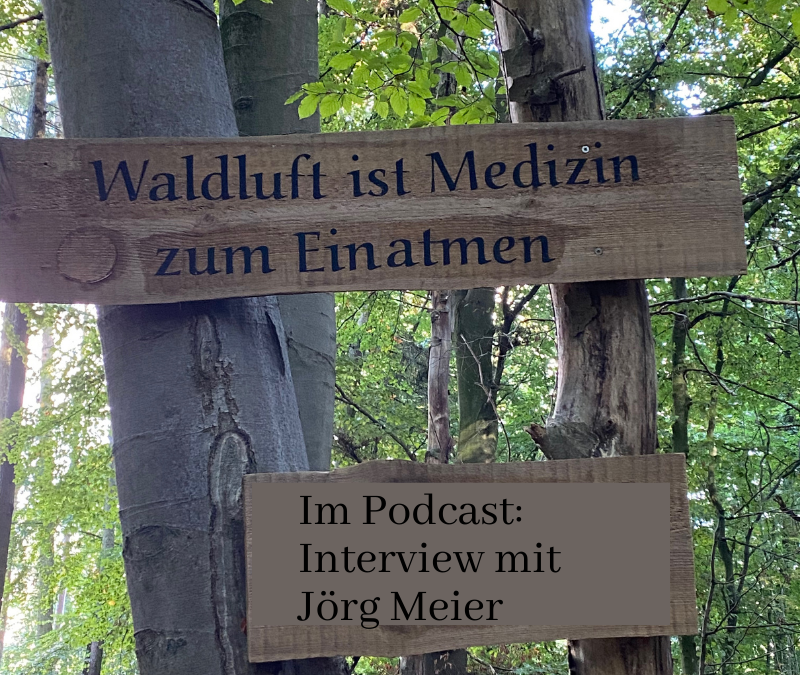 „Waldluft ist Medizin zum Einatmen“ – Interview mit Jörg Meier
