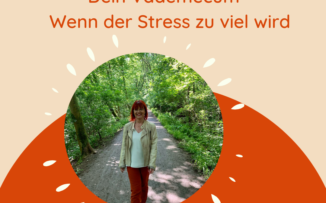 Dein Vademecum – Wenn der Stress zu viel wird